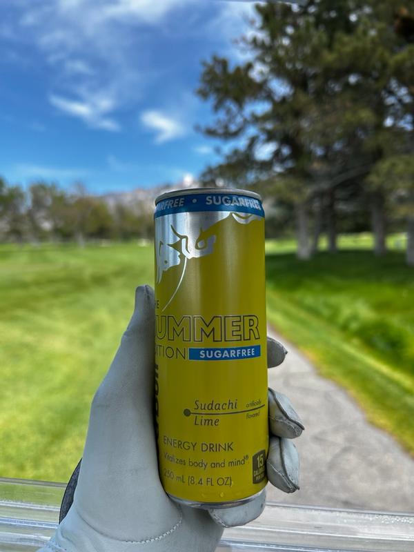 Red Bull SF Summer Edition Sudachi Lime 12 fl. oz. Single RB249871