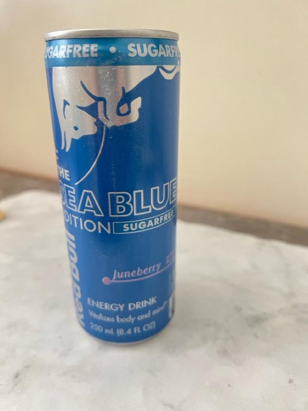 Buy Red Bull Sea Blue Edition Sugarfree Energy Drink, Juneberry