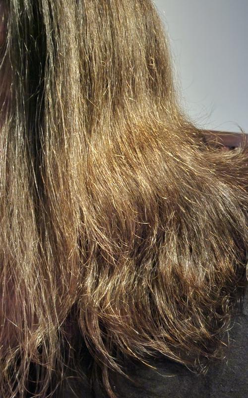 Redken Frizz Dismiss Shampoo