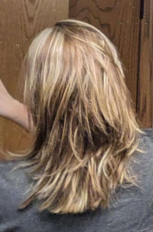 Before using Blondage Shampoo/Conditioner/Mask