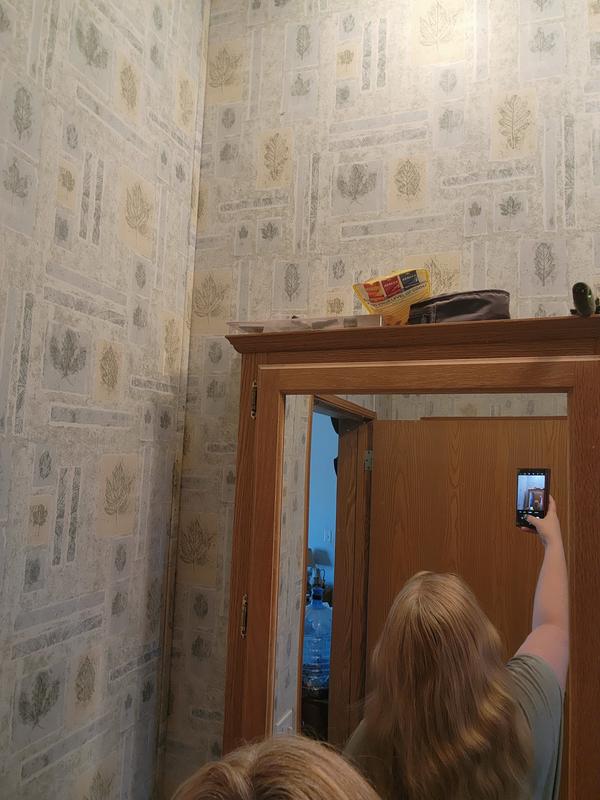 Pre-washed hair