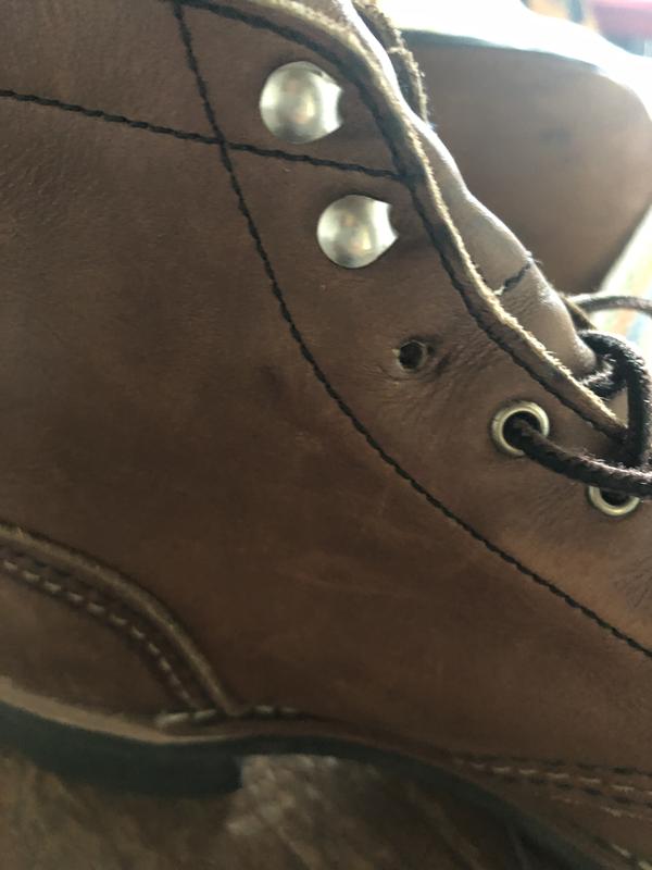 Photo submitted with review of product