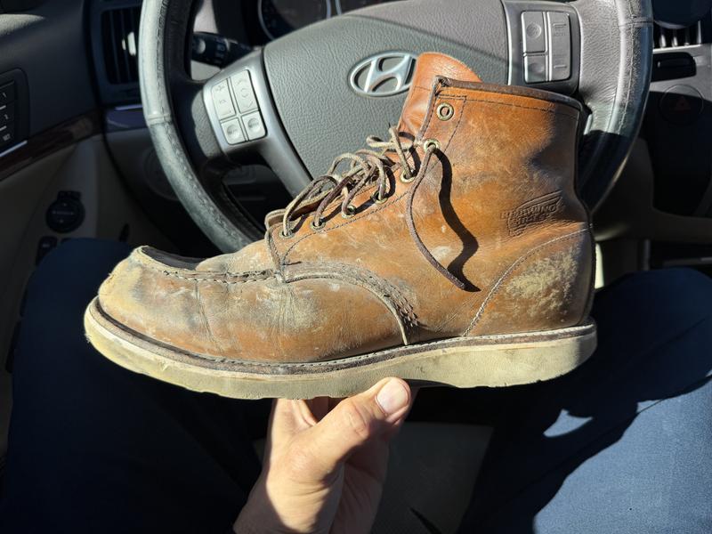 Review Thumbnail Image 2 295936514