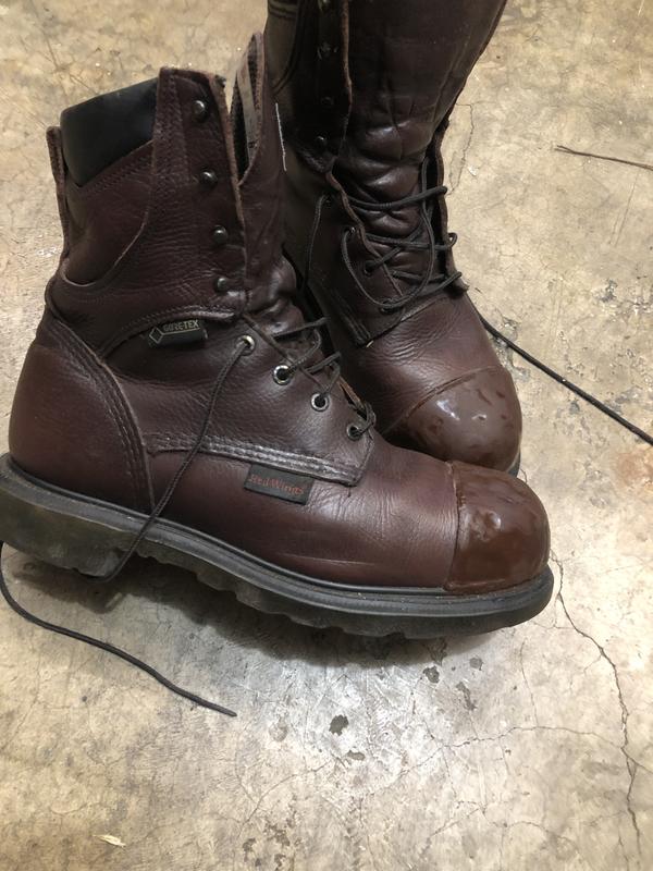 Red wing boots 2412 online