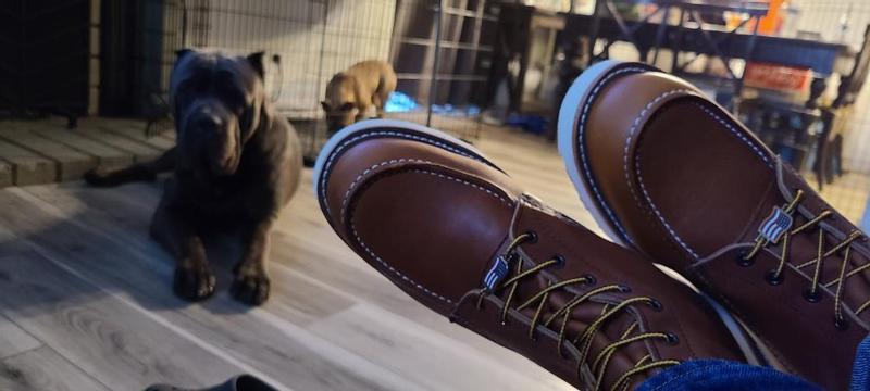 REDWING レッドウィング 8386 デッキシューズ ブラウン 9 1/2 REDWING レッドウィング 8386 デッキシューズ ブラウン 9 1/2