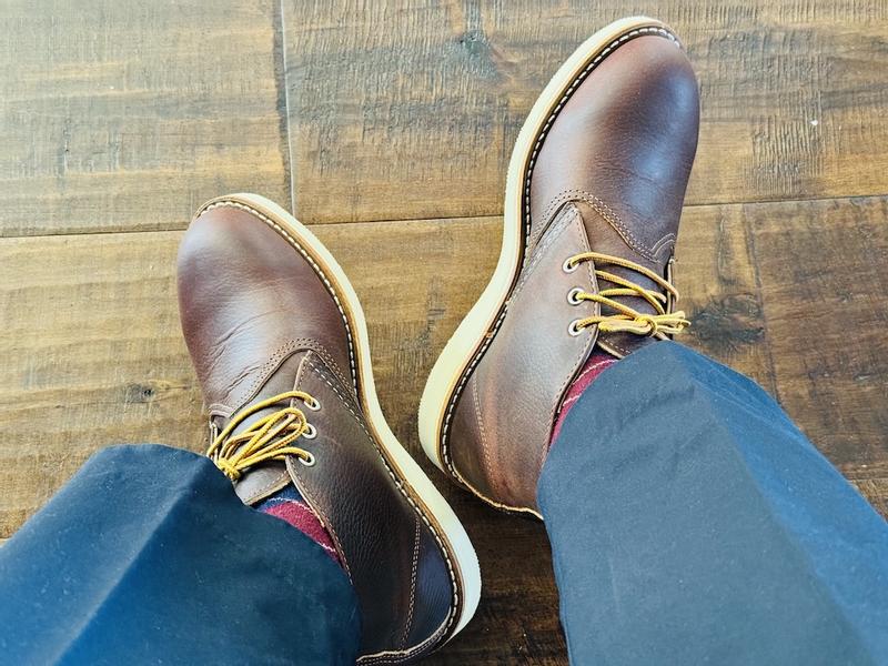 Men's Work Chukka in Dark Brown Leather 3141