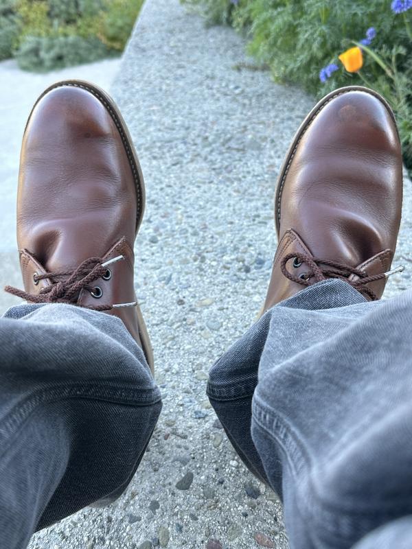 Men's Traction Tred Chukka Work Boot 595 | Red Wing Shoes