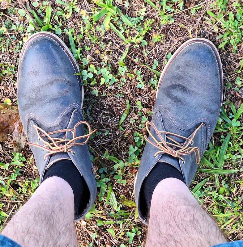 Men's Work Chukka in Dark Brown Leather 3141