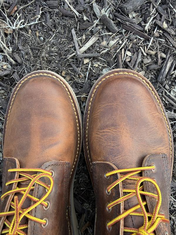 Men's Weekender Oxford in Copper Rough & Tough Leather 3604 | Red