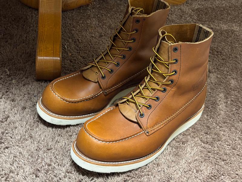 Men's Traction Tred 8-inch Work Boot 10877 | Red Wing Shoes