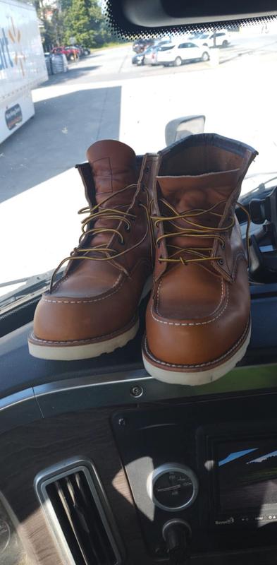 REDWING875サイズus9.5 楽天市場】レッドウイング RED WING #875 アイリッシュセッター