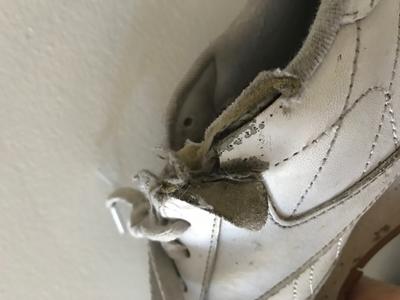 Photo submitted with review of product
