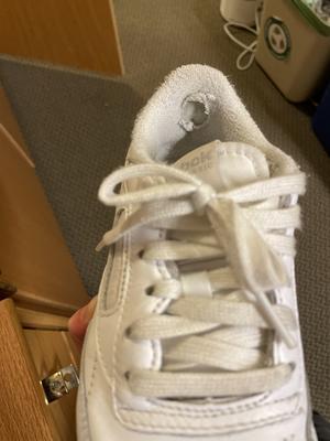 Photo submitted with review of product