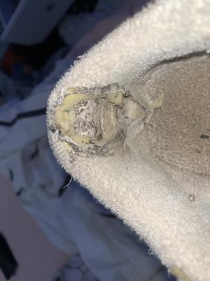 Photo submitted with review of product