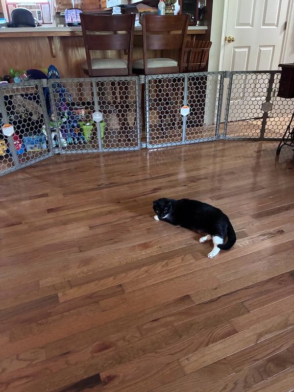 Photo - commentaire&nbsp;3.