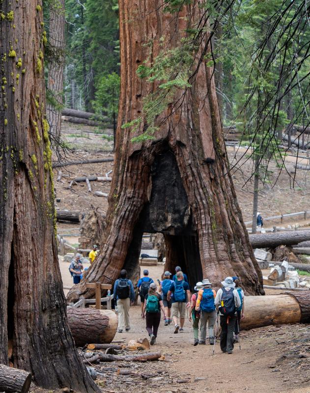 Yosemite Valley Hiking – Lodge Based
