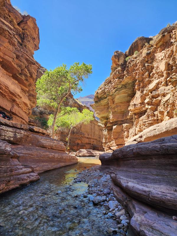 Grand Canyon Backpacking – North Rim – Women’s Thunder River Loop