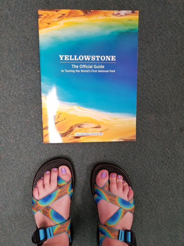 Chacos yellowstone online