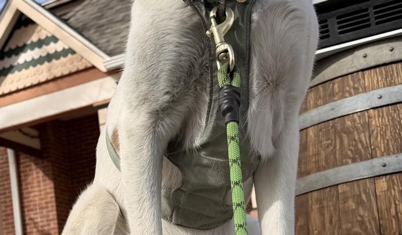 User uploaded product image