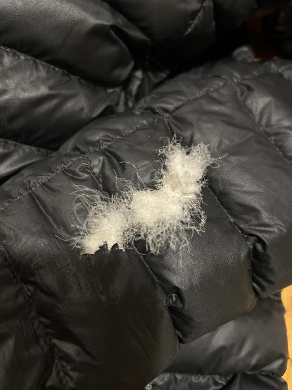 User uploaded product image