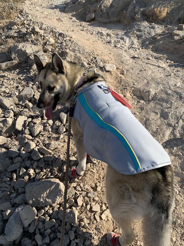 Used Ruffwear Swamp Cooler Dog Cooling Vest REI Co op