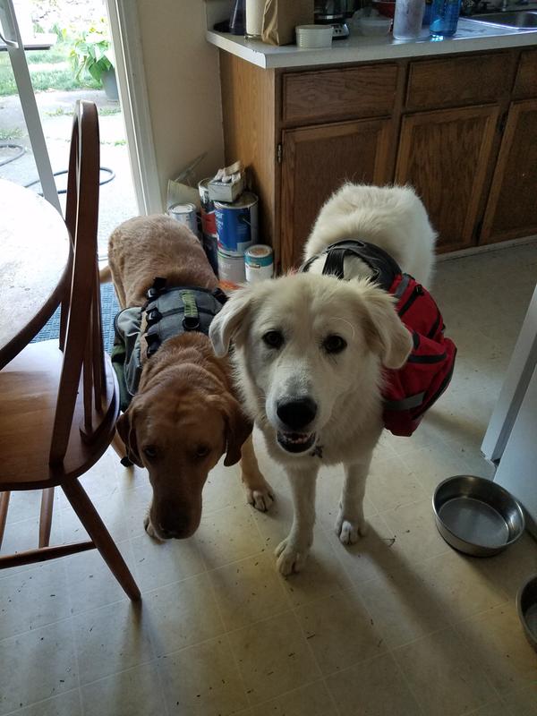 User uploaded product image