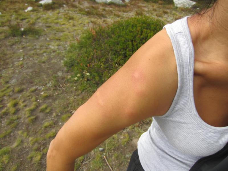 User uploaded product image