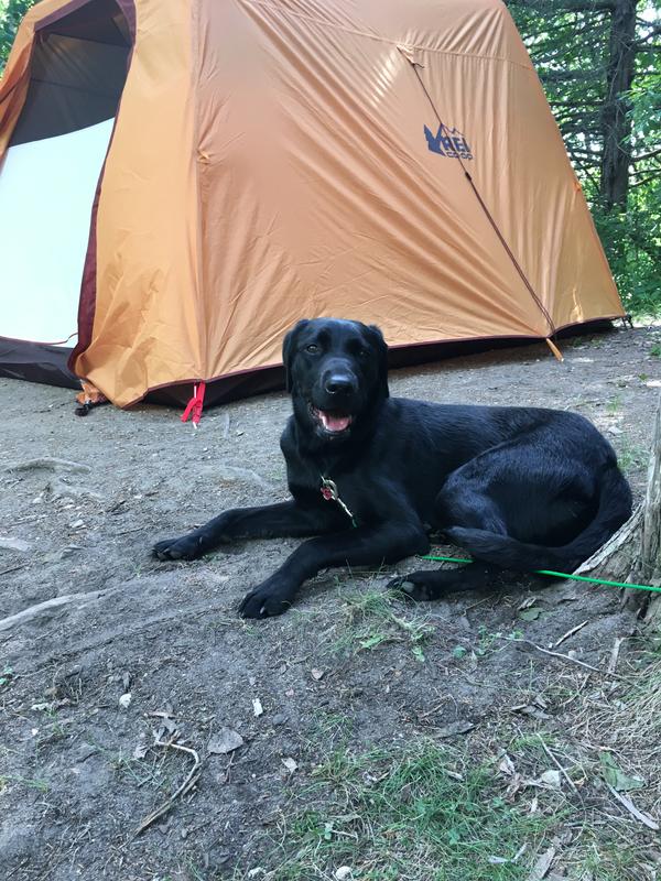 REI Co op Grand Hut 6 Tent REI Co op