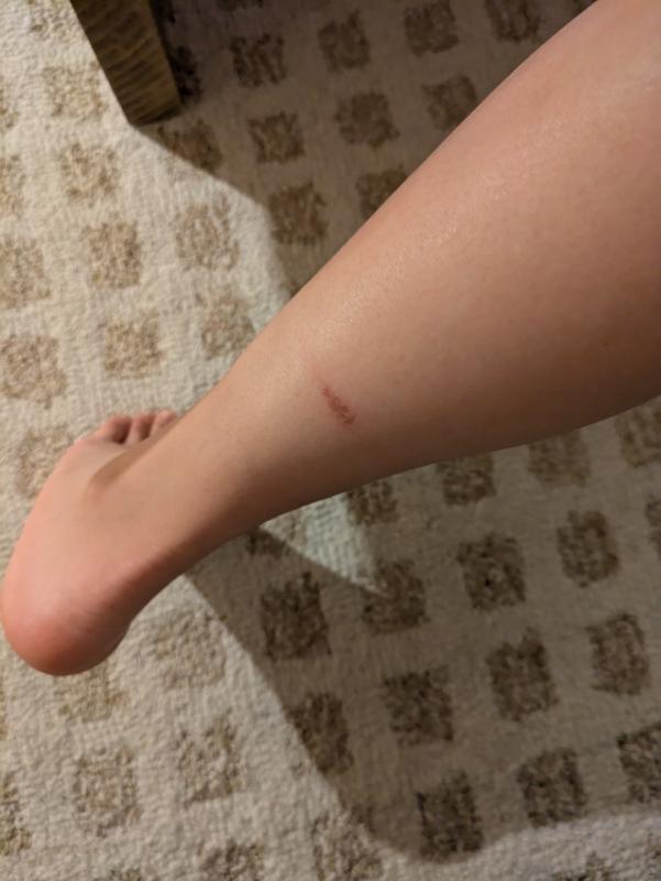 User uploaded product image