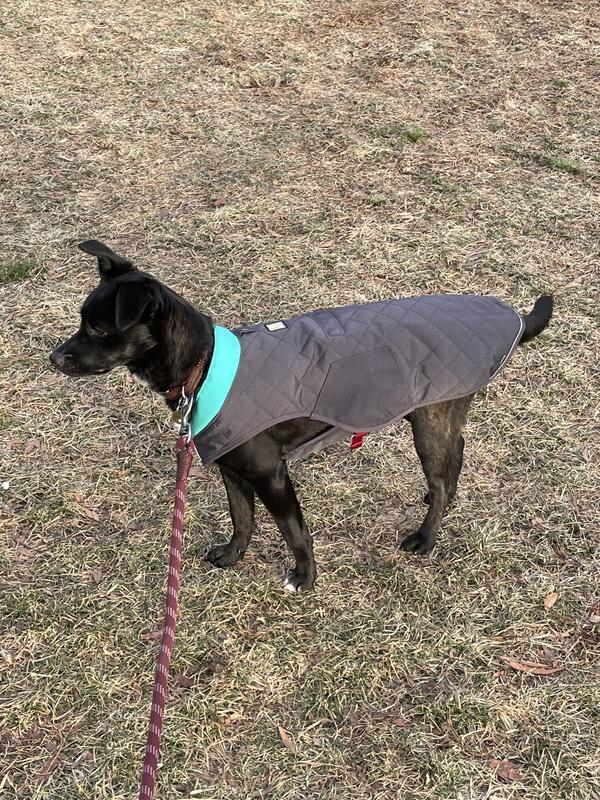 Ruffwear Stumptown Insulated Dog Jacket REI Co op