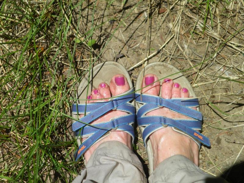 teva tirra review