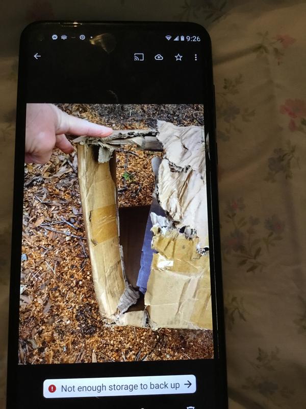 User uploaded product image