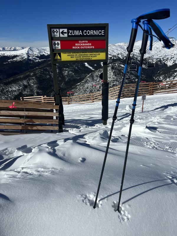 Black Diamond Razor Carbon Pro Ski Poles | REI Co-op