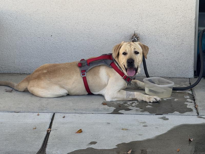 User uploaded product image