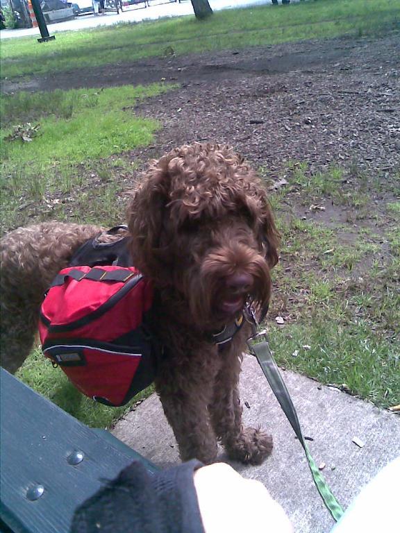 User uploaded product image