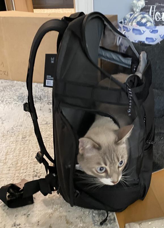 バッグ TIMBUK2 Road Tests :: Timbuk2 Especial Messenger - Carryology