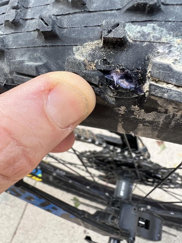 Maxxis Rekon+ EXO Tire - 27.5 x 2.8 | REI Co-op