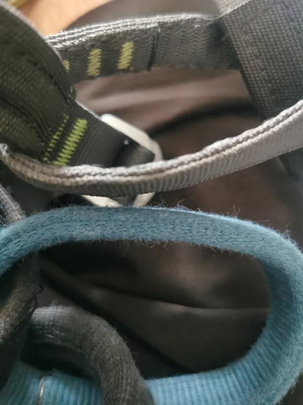 C.A.M.P. Energy CR3 Harness - Men's | REI Co-op