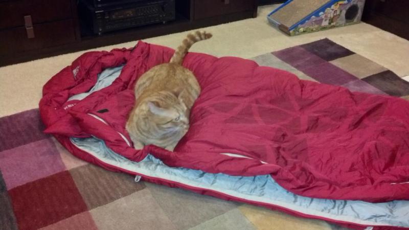 User uploaded product image