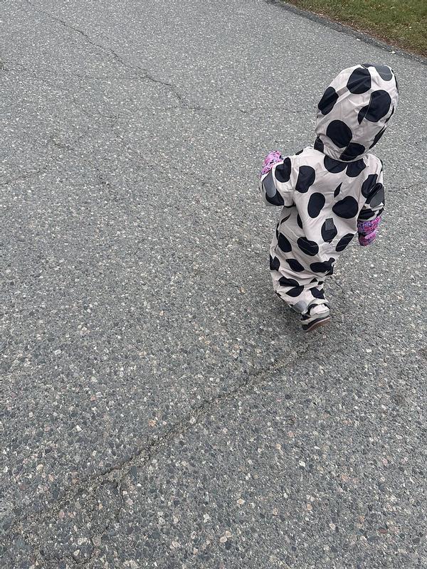 Review Thumbnail Image 0 368366339