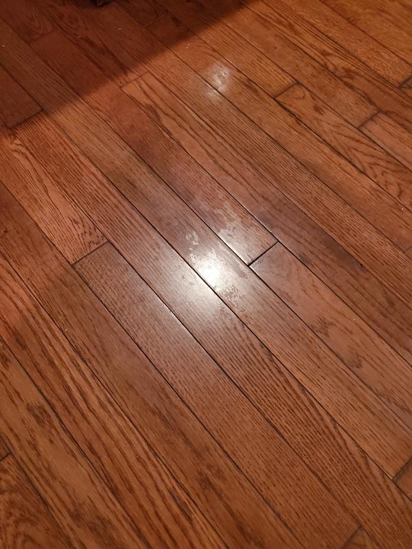 Ate the finish off!!!