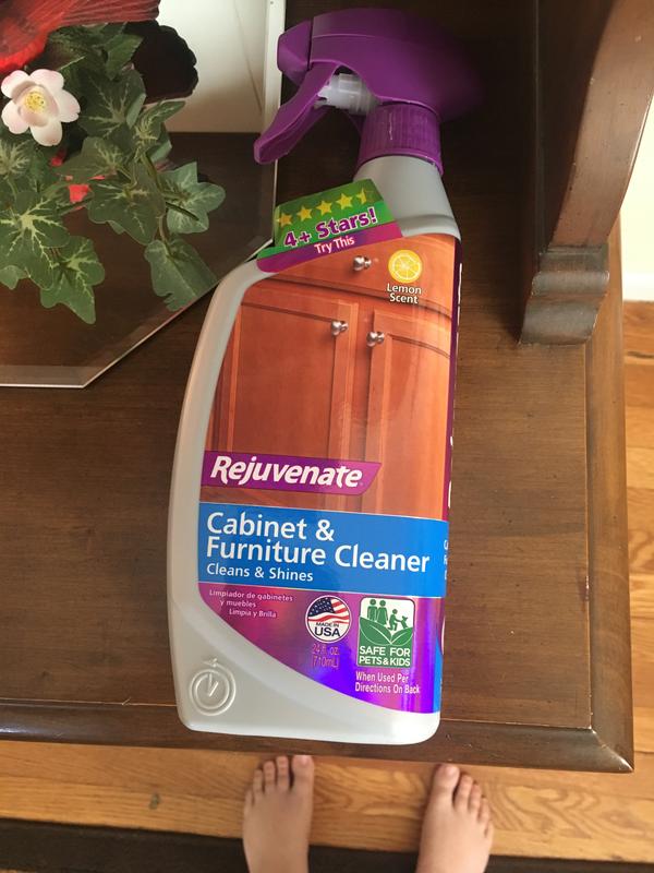 Rejuvenate 16 In. Cabinet & Furniture Restorer with Mitt - Power