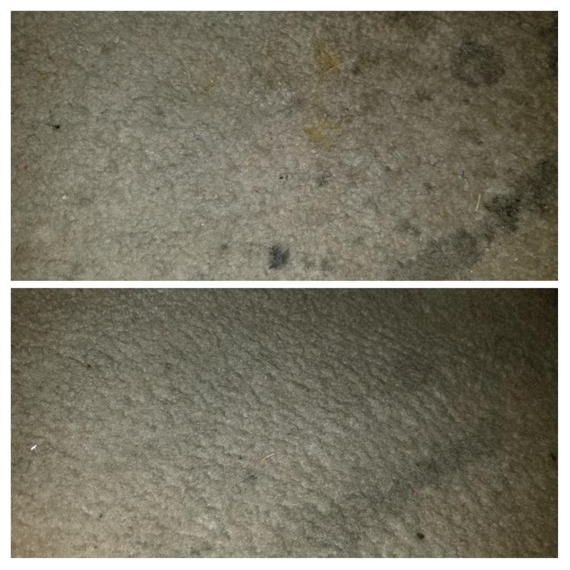 Rejuvenate® 32 oz. BioEnzymatic Carpet & Upholstery Spot & Stain