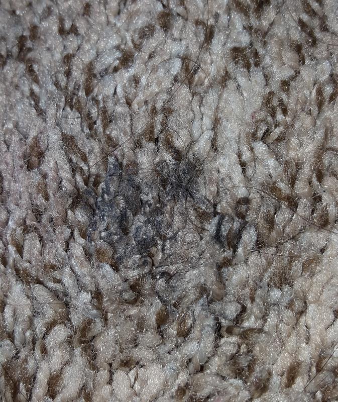 Rejuvenate® 32 oz. BioEnzymatic Carpet & Upholstery Spot & Stain