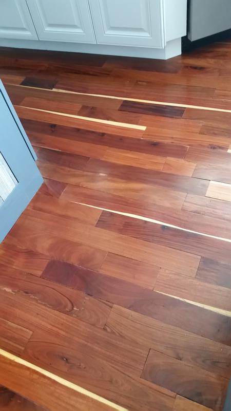 Rejuvenate Floor Cleaner No Bucket Needed