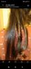 REMINGTON One Straight & Curl Styler  S6077 