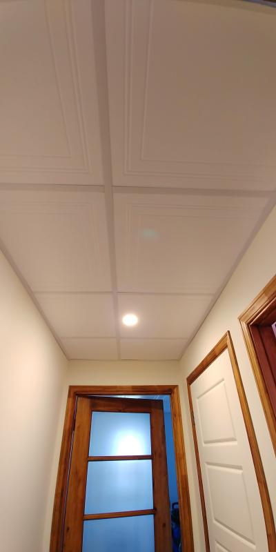 Mur Design Encore Ceiling Tile 2 X 2 8 Per Box Panq22e