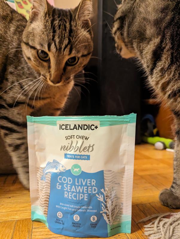 Icelandic Feline Soft Chew Nibblets CodLiver Seaweed 2.5oz