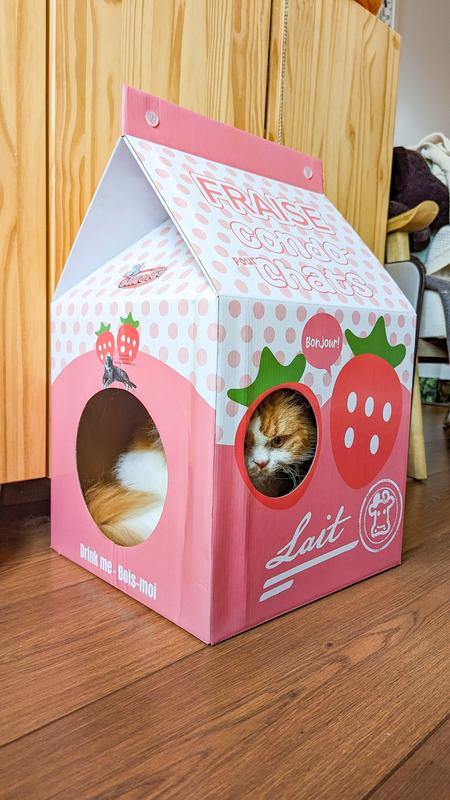 Simons,Strawberry Milkbox Condo Ren's Pets