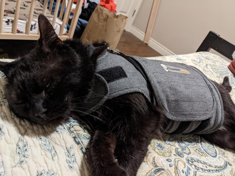 Feline thundershirt outlet